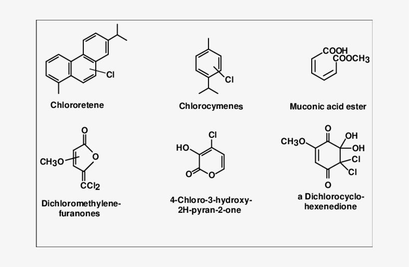 New Organic Substances Identified In Effluent From - Diagram, transparent png #5424920
