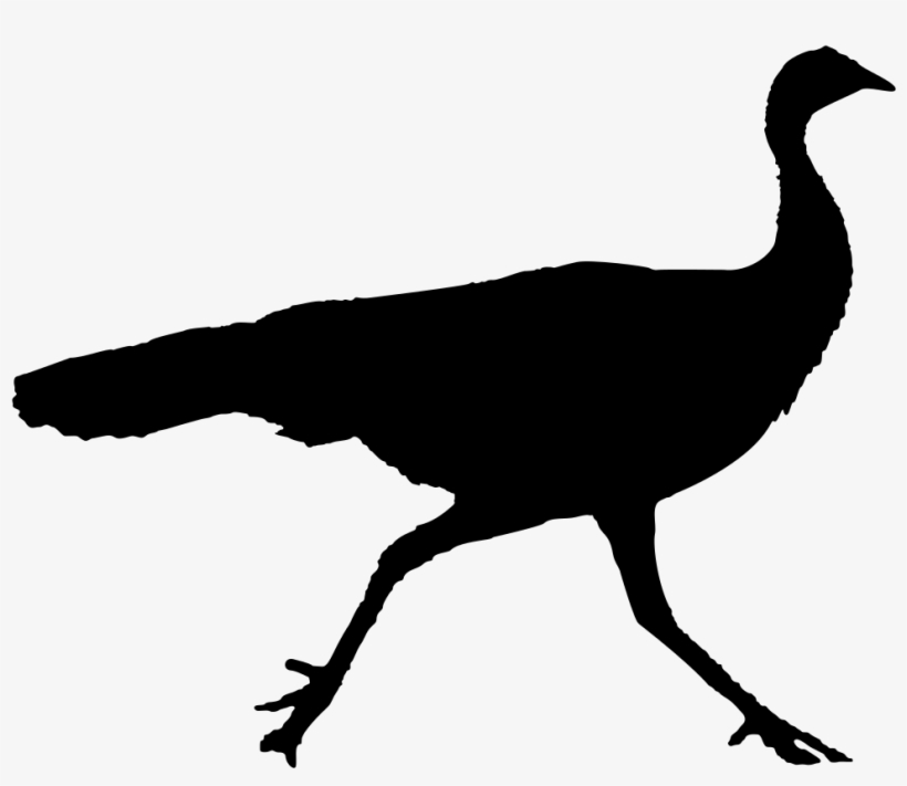 Wild Turkey Silhouette - Clip Art, transparent png #5425176
