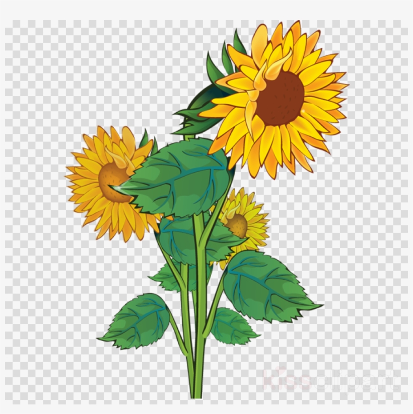 Sunflower Png Clipart Clip Art - Yellow Flower Clip Art, transparent png #5428060