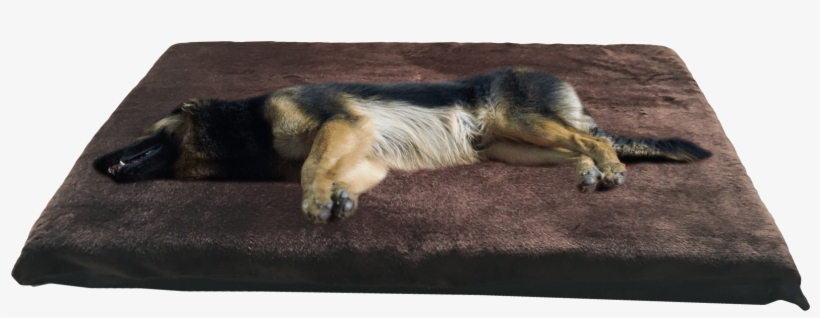 Home / Kosipet® Dog Beds - Dog, transparent png #5428744