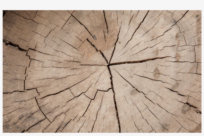 Broken Wood Png Banner Black And White Library, transparent png #5429600