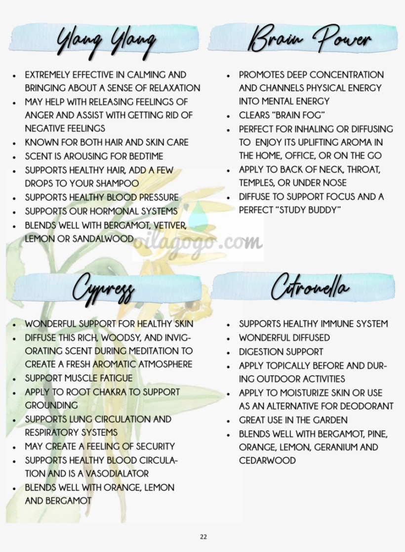 Ylang Ylang Brain Power Extremely Effective In Calming - Ylang-ylang, transparent png #5432170