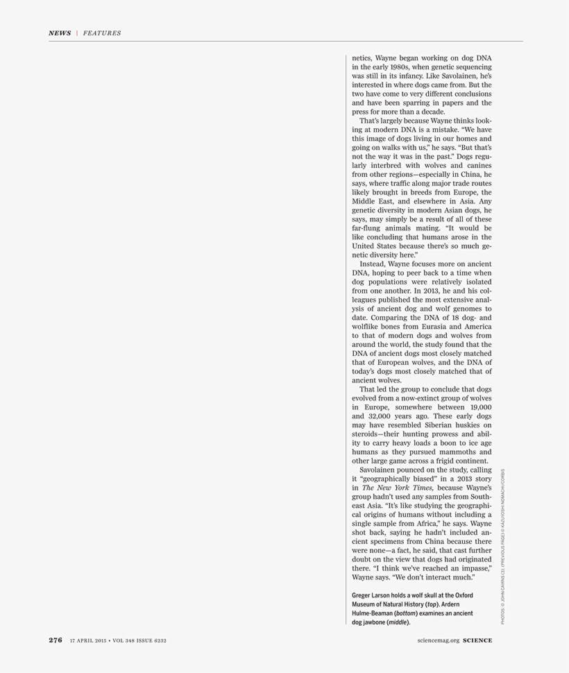 What - Declaratoir Aan De Vroedschap Van Amsterdam, 1794, transparent png #5432513