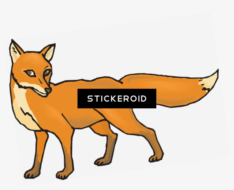 Fox - Jackal Clipart, transparent png #5434618