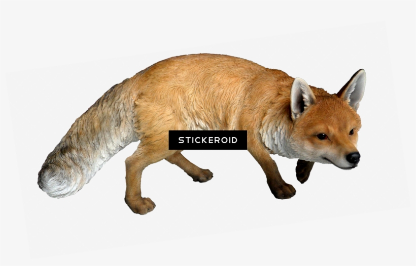Fox - Real Woodland Animals, transparent png #5434795