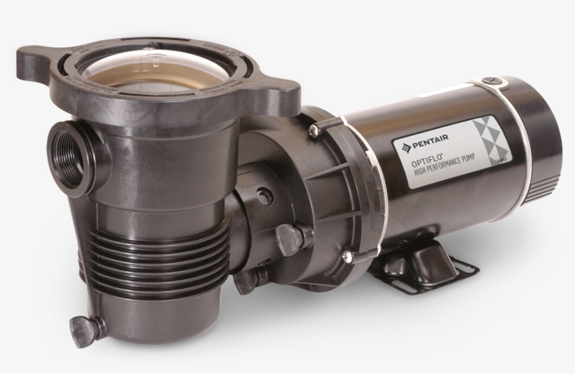 Cool Off With The Whole Family This Year - Pentair Optiflo, transparent png #5435537