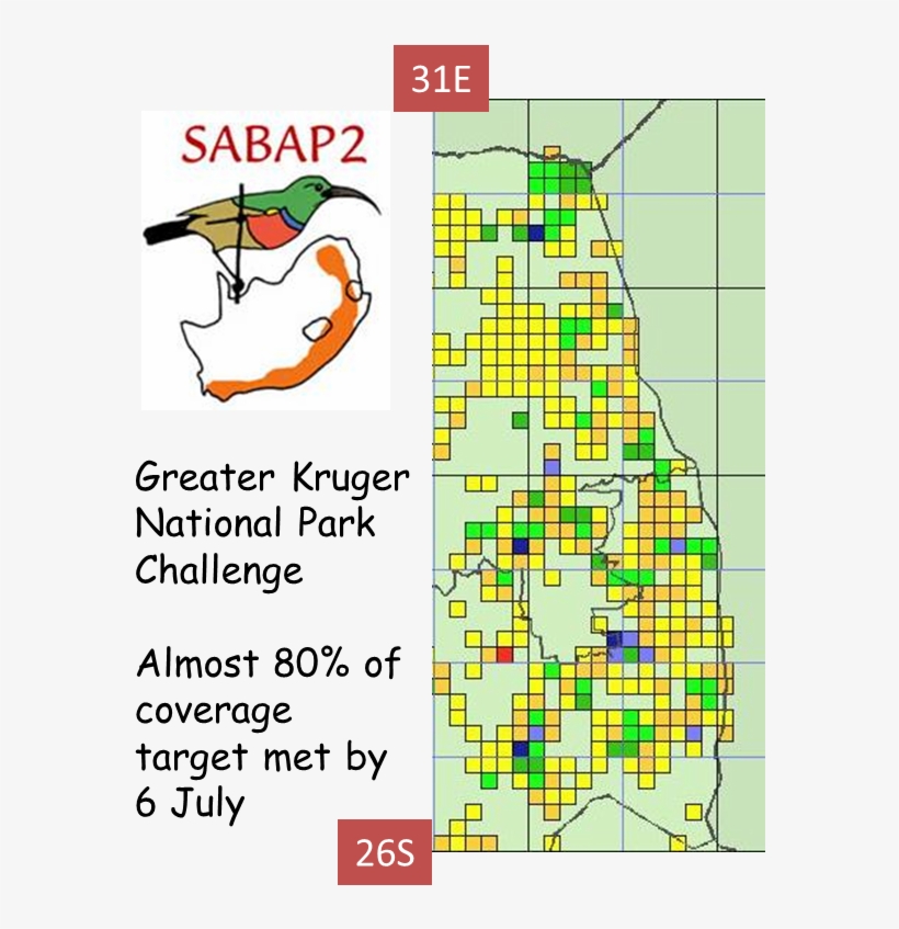 Greater Knp - Illustration, transparent png #5436132