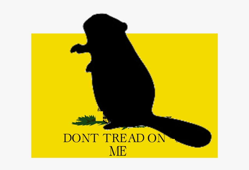 Texas - Dont Tread On Me Flag, transparent png #5437954