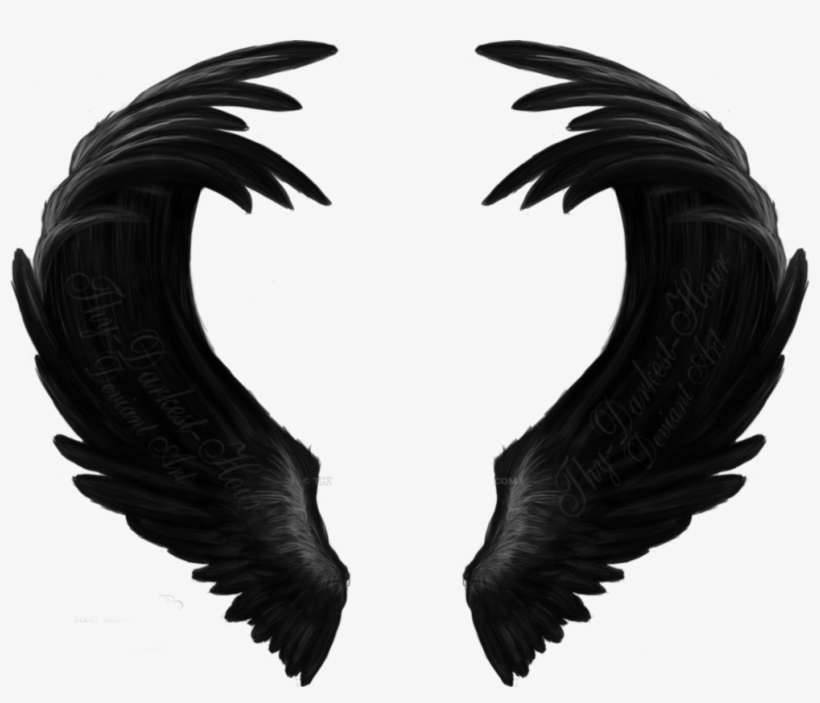 Black Wings, transparent png #5440350