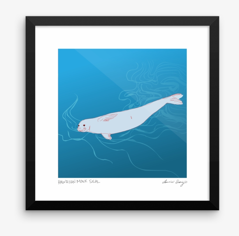 Hawaiian Monk Seal Print - Hawaiian Monk Seal, transparent png #5443016