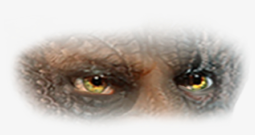 The Great Deception: Can The European Union Survive?, transparent png #5444107