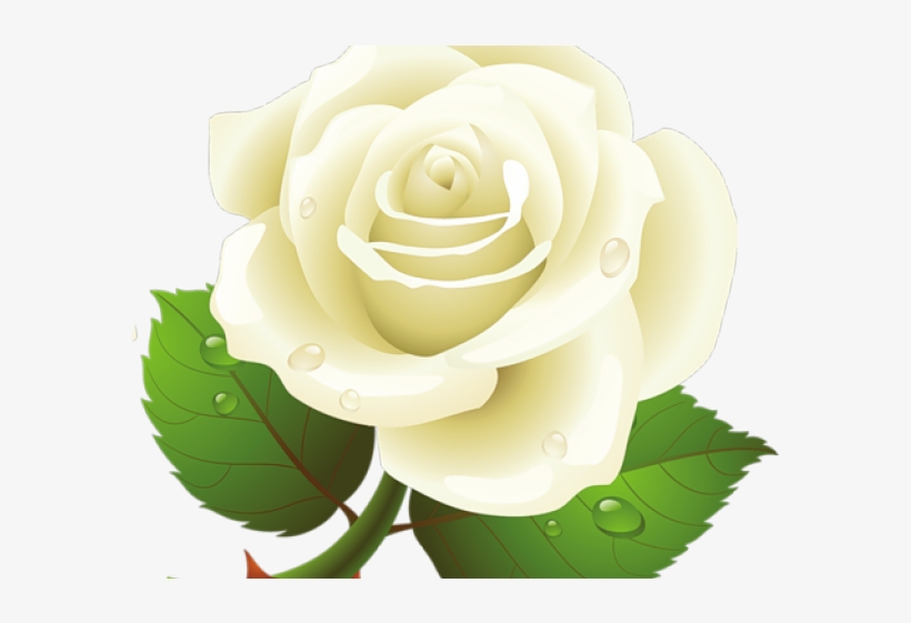 White Rose Clipart Yellow - Rose White Yellow Png, transparent png #5445152