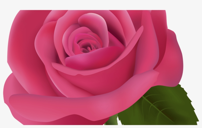 Pink Rose Png Clipart Image Best Web Clipart, transparent png #5447332