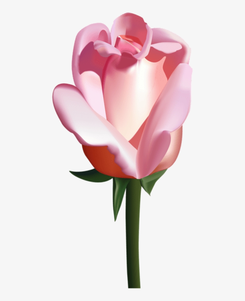 Free Png Pink Rose Png Images Transparent - White Rose Cartoon Transparent, transparent png #5447609