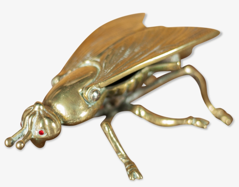 Brass, transparent png #5448082