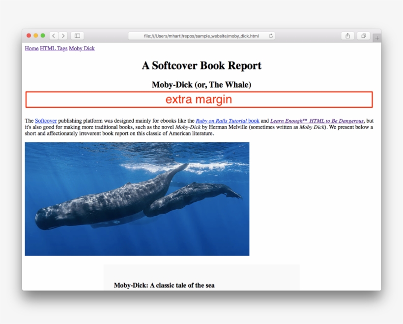 Images/figures/margin Header - Sperm Whale Family By Baratheui Gabriel Marine, transparent png #5448850