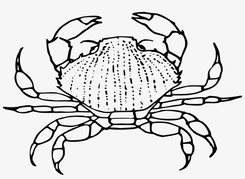 Big Image, transparent png #5449933