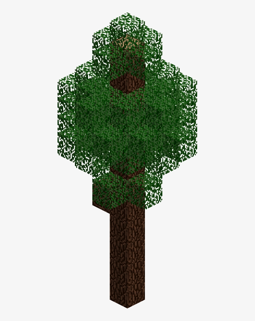 Pinetree - Grass, transparent png #5450919