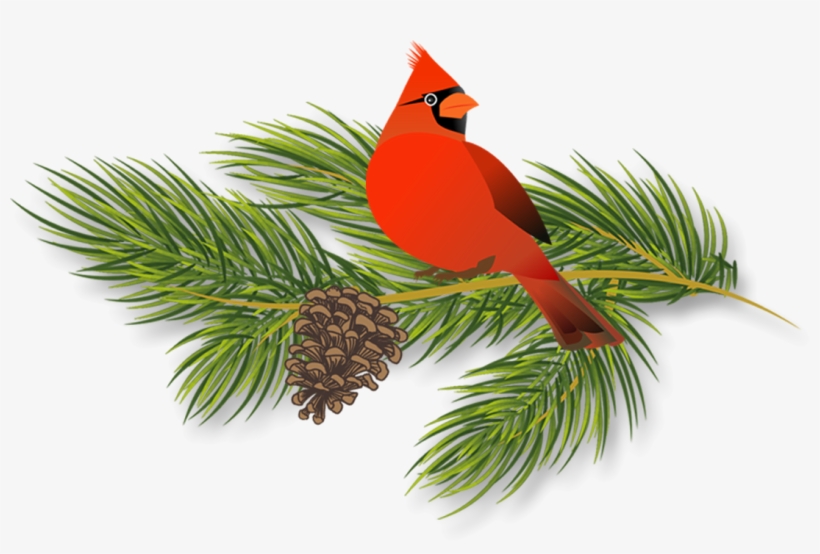 Holiday Pines Campground - Red Cardinal Greeting Cards, transparent png #5451066