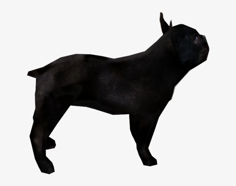 Livestock, transparent png #5453174