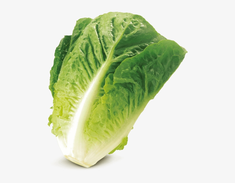 Mini Romana, Green Von Elo, transparent png #5453775