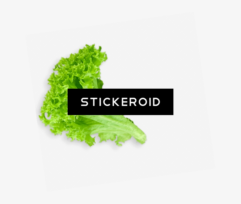 Lettuce Leaf - Green, transparent png #5453834