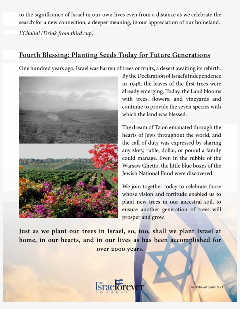 From The Tu B Shevat Seder In The Hills Of Tzfat Hundreds, transparent png #5454346