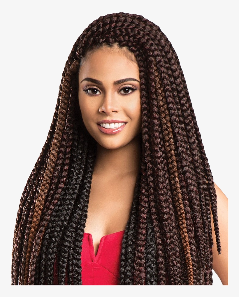 Dreadlocks, Braids, Retwists, We Have Got All Of Your - Natural Hair Box Braids, transparent png #5458567