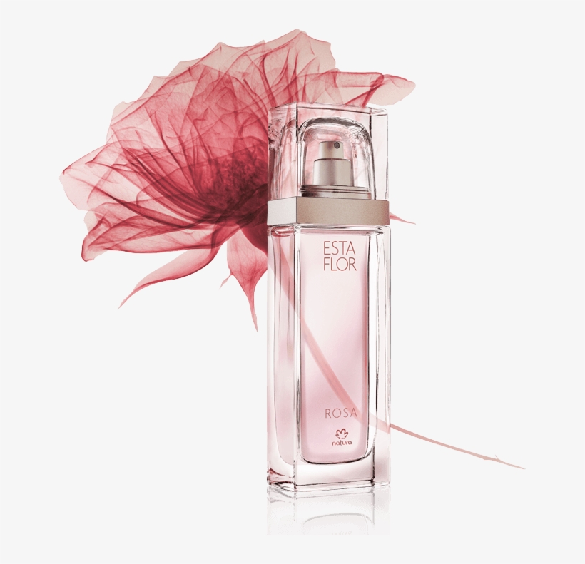 A Máxima Rosa Da Rosa - Perfume Esta Flor De Natura, transparent png #5459052