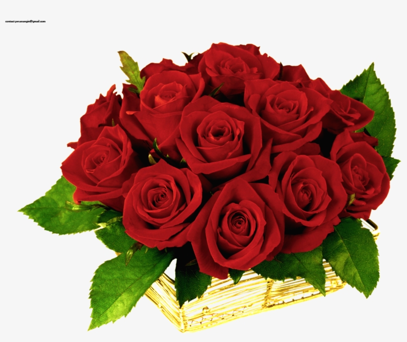 Rojas Y Flores Rosatel - Dzień Dobry Miłego Dnia, transparent png #5459433