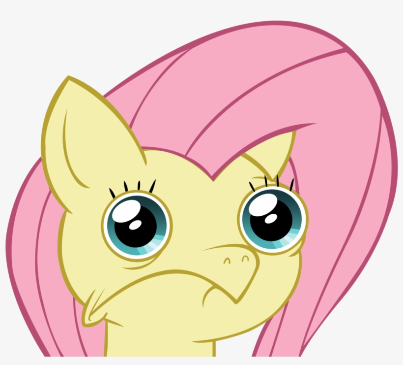 Post 29081 0 20570500 1409186776 Thumb - Stay Outta My Shed Okay, transparent png #5460879