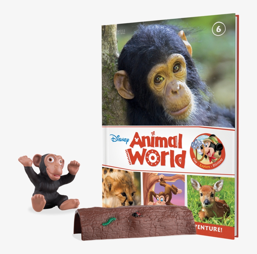 Book Six - Monkeys - 3d-postcard Schimpansen-baby, transparent png #5462809