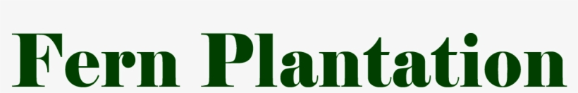 Arachniodes Standishii The Upside Down Fern, transparent png #5463613