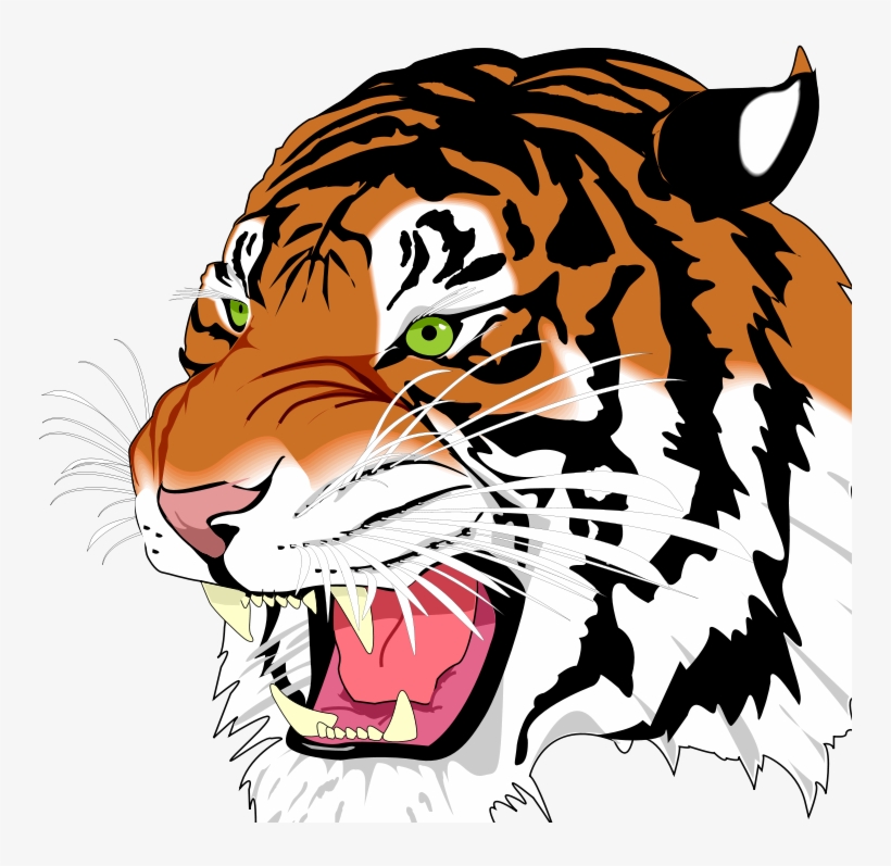 White Tiger Png, transparent png #5464209