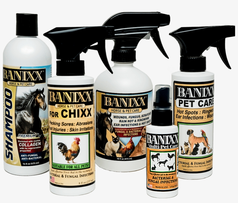 Banixx Is The Product Of Choice For Cat Owners For - Banixx Horse Shampoo - 16 Oz, transparent png #5465835