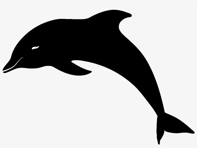 Source - - Dolphin Vector Silhouette, transparent png #5466958