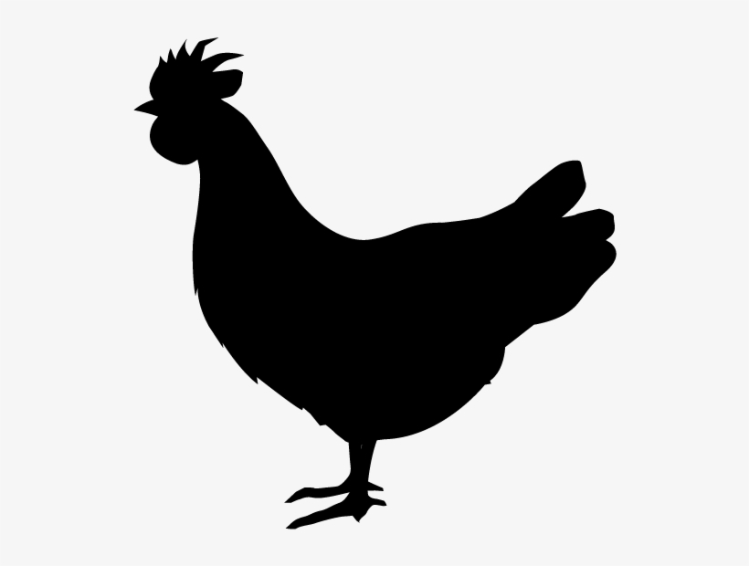 Chicken Silhouette Png For Kids - Crazy Chicken Lady Svg, transparent png #5468382