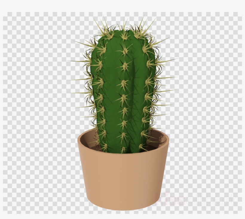 Cactus Png Clipart Cactus Clip Art - Key Icon No Background, transparent png #5472105