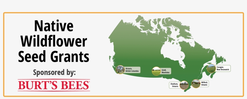 Look For Specially Marked Bonterra And Burt's Bees - Map Of Canada, transparent png #5473459