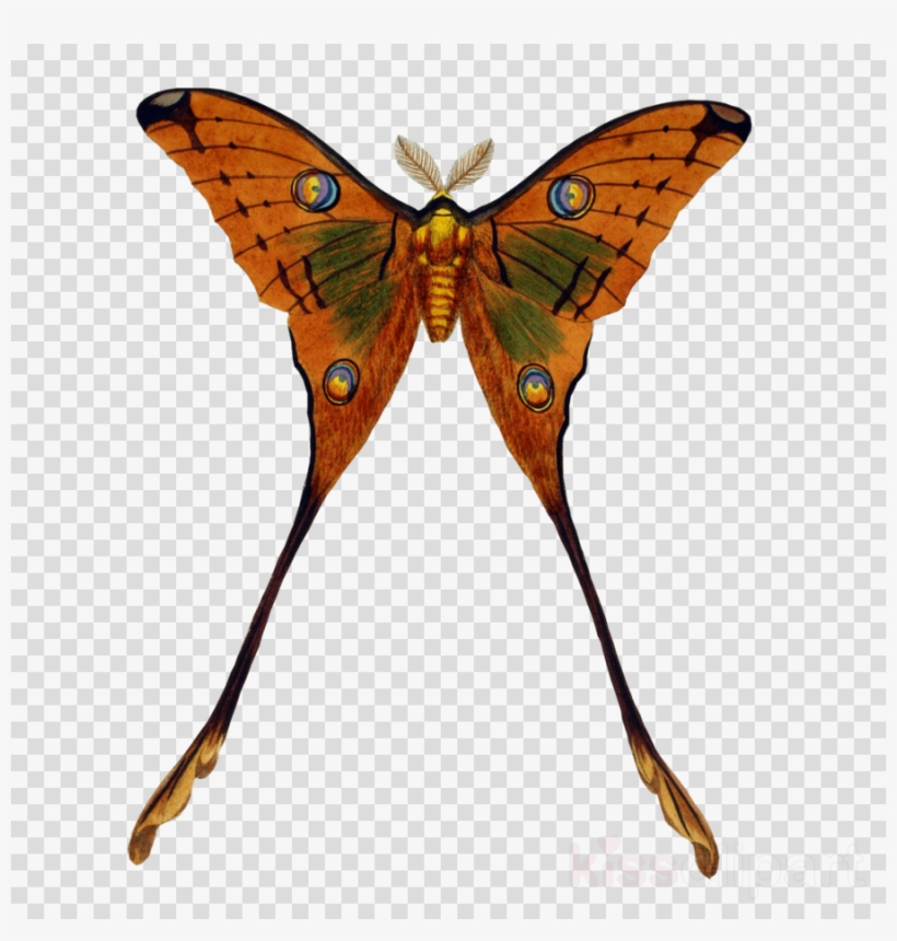 Black And White Drop Of Water Clipart Royalty-free, transparent png #5474526