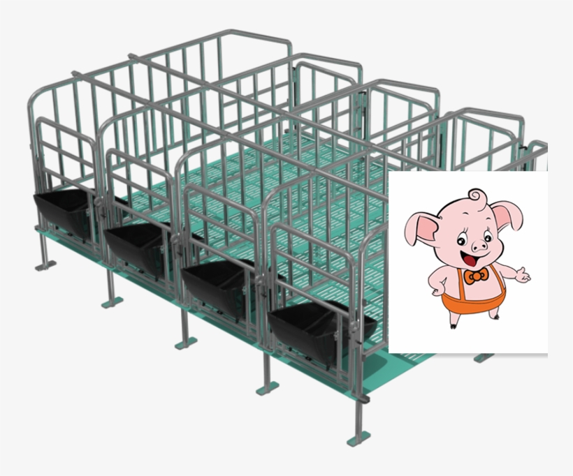 Domestic Pig, transparent png #5475181
