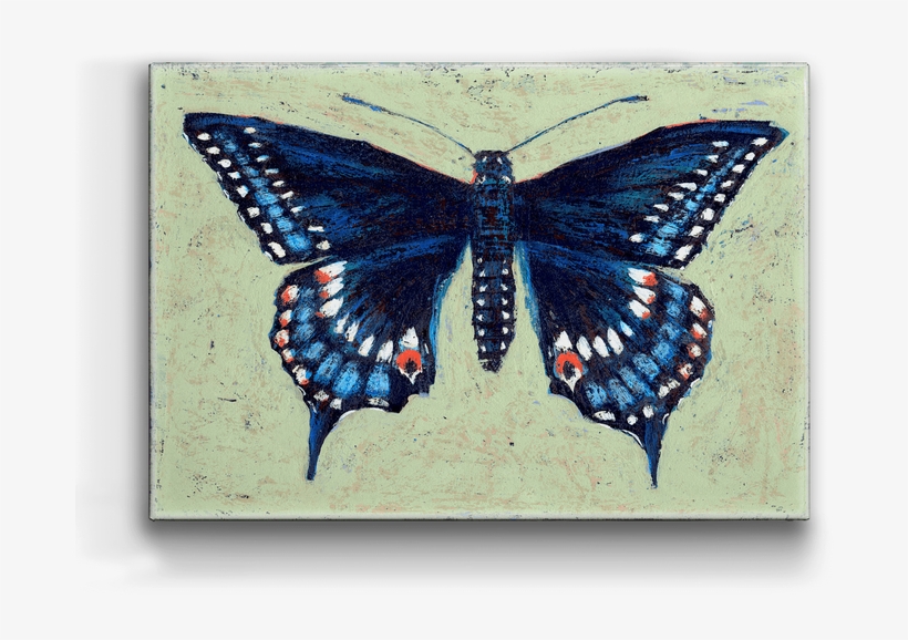 Black Swallowtail Box Art - Monarch Butterfly, transparent png #5475246