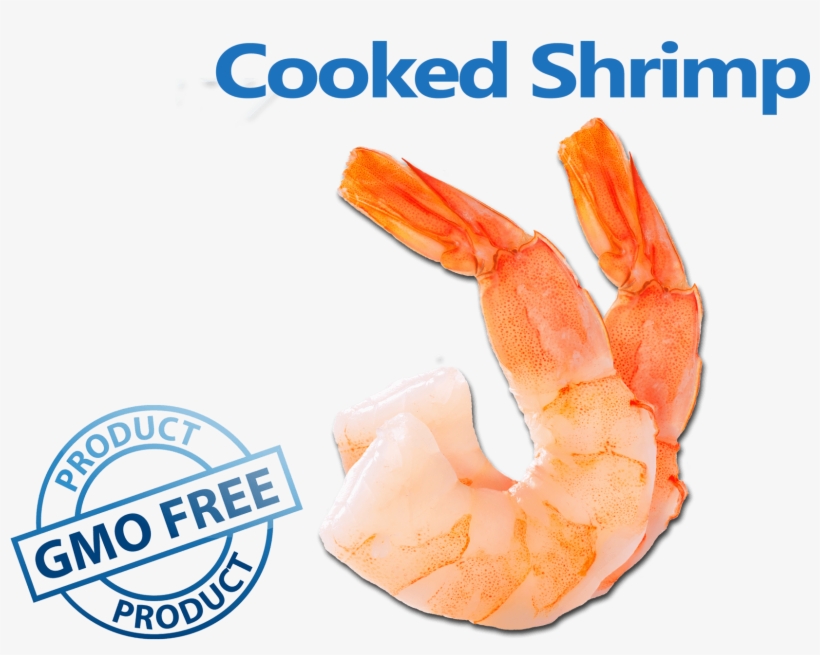 Transparent Shrimp Cooked Image Royalty Free Stock - Liquid Vitamin D3 2000iu 5000iu - Considered To Be, transparent png #5475249
