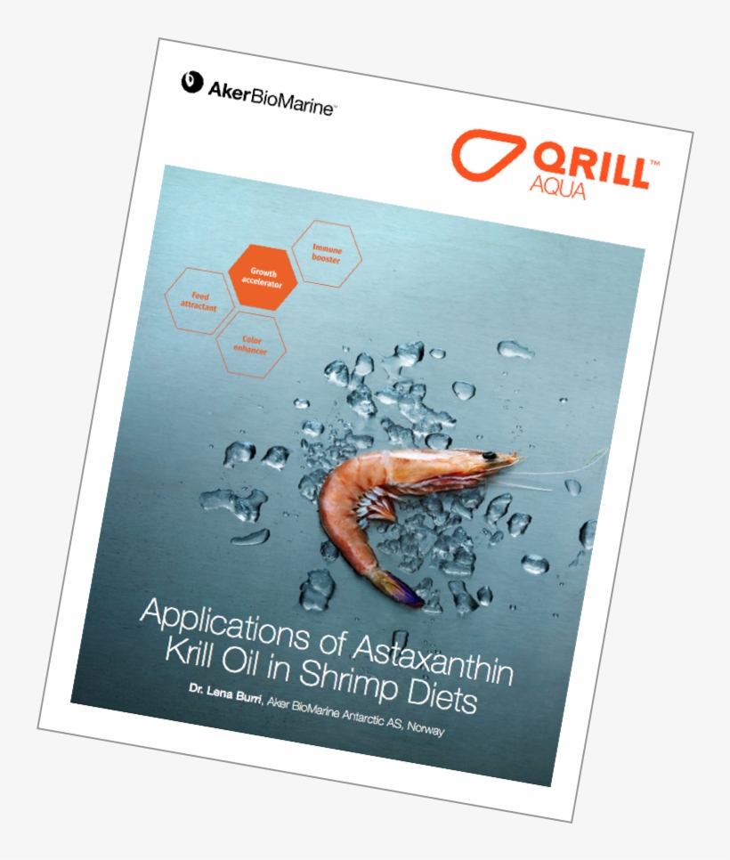 Applications Of Astaxanthin Krill Oil In Shrimp Diets - Poster, transparent png #5475293