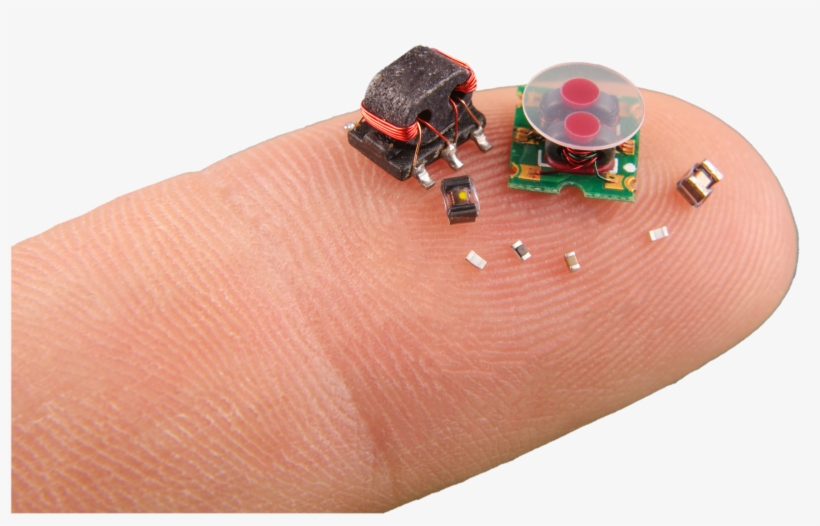 Is Rescue Mission The Only Purpose Of Darpa's Insect-sized - Darpa Micro Robot, transparent png #5475657