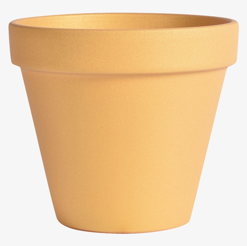 Pearly Standard Pot Gold - Flowerpot, transparent png #5476378