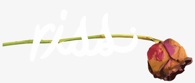 Director @soargaming - Apple, transparent png #5479023