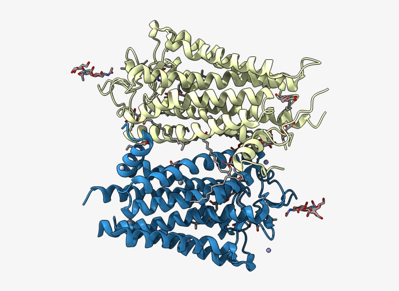 Asymmetric Unit - Illustration, transparent png #5479473