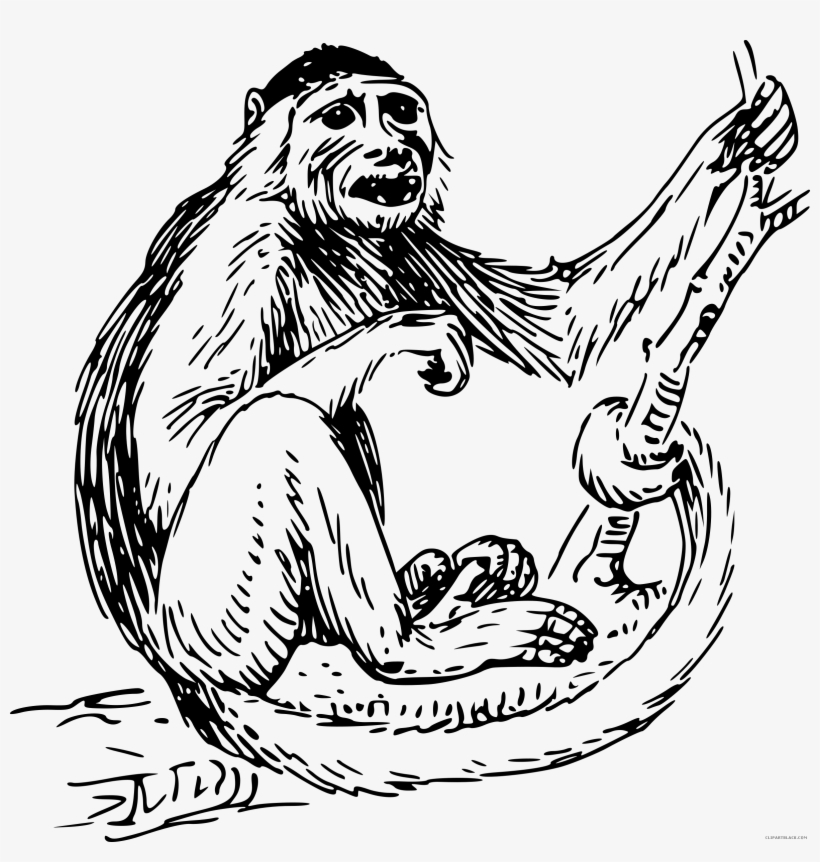 Monkey Clipart Black And White Black And White Monkey - Monkey Clip Art, transparent png #5479646