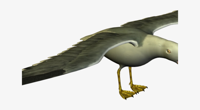 Seagull Clipart Flock Seagulls - Funny Seagulls, transparent png #5480116